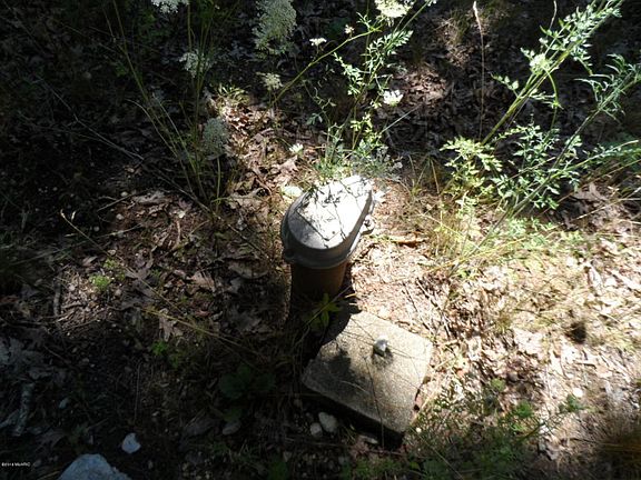 5th image of 4368 Grant Dr
