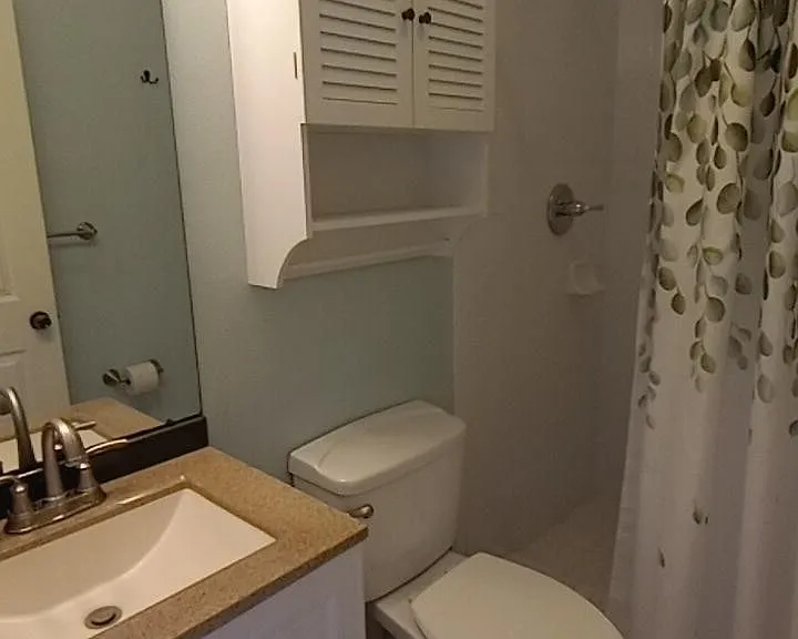 Plenty of storage, towel racks, attractive paint/shower curtain, and hardware.