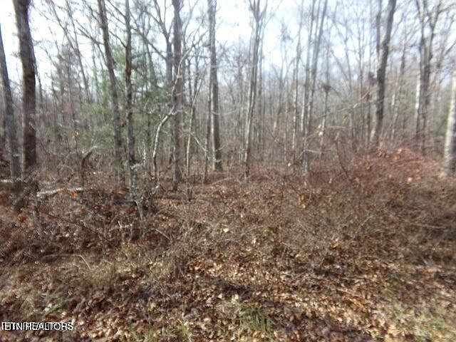 2nd image of 2142 Ona Rd