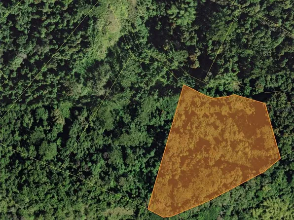 Carr 181 Bo Masa Km 13 Lote #3-hm 2, Gurabo, PR 00778