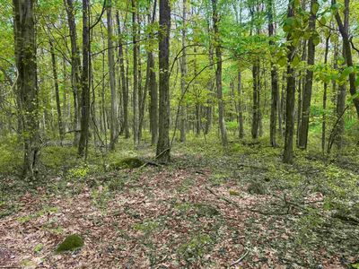 30 Oak Dr, Albright, WV, 26519