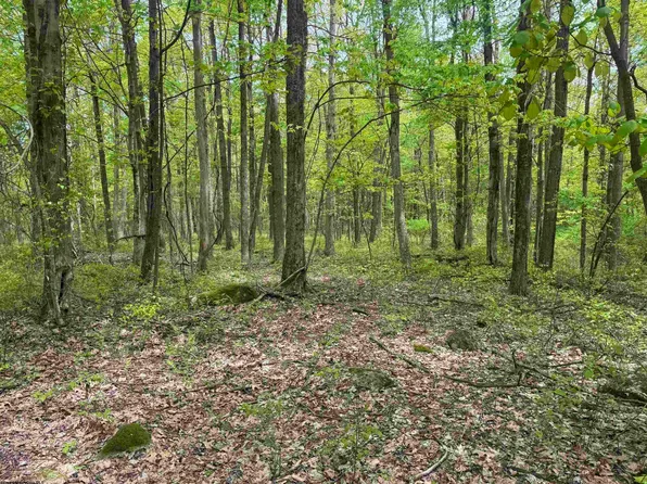 30 Oak Dr, Albright, WV 26519