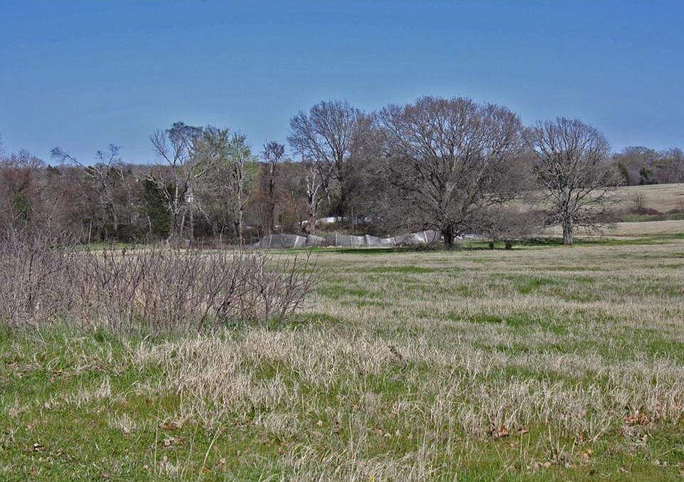 1st image of 487 Vz County Road 2437