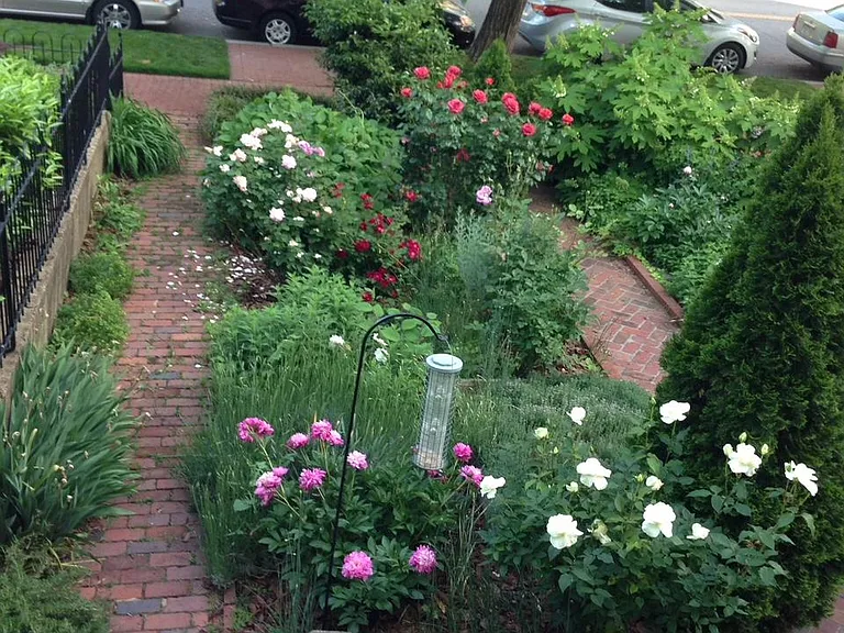 Rose garden