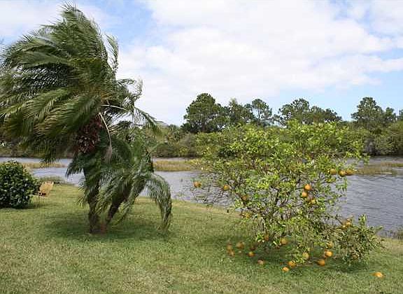 2nd image of 537 SW Cyrilla Trl