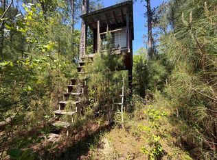 0 Leon Tower Rd, Dozier, AL 36028