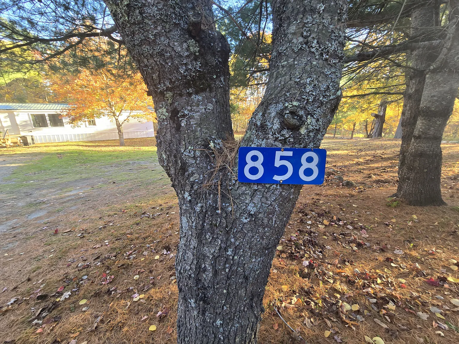2 bed, 1100 sqft, $1,300 — Photo 1