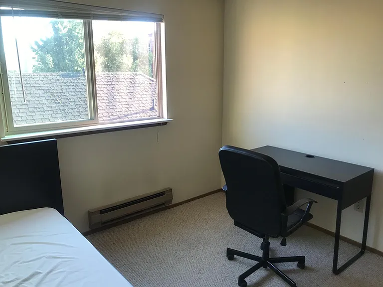 Sun Property — Photo 6