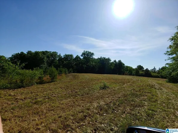 0 County Road 83 #1, Clanton, AL 35045