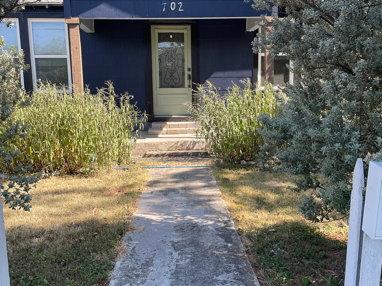 2 bed, 864 sqft, $1,300 — Photo 2