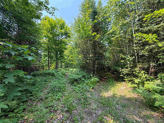 5th image of 0 Off Granite Lake Rd