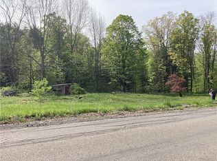 341 Dan Main Rd #21, Norwich, NY 13815