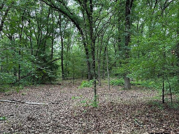 5th image of LOT 20 County Road 1660