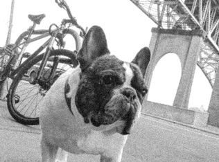 905 N 36th St, Seattle, WA 98103