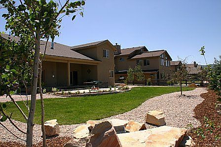 back yard