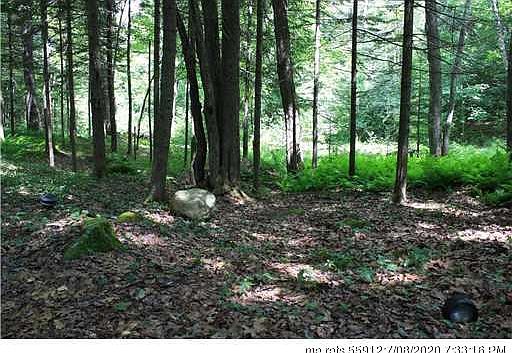 2nd image of 40 Albion Rd