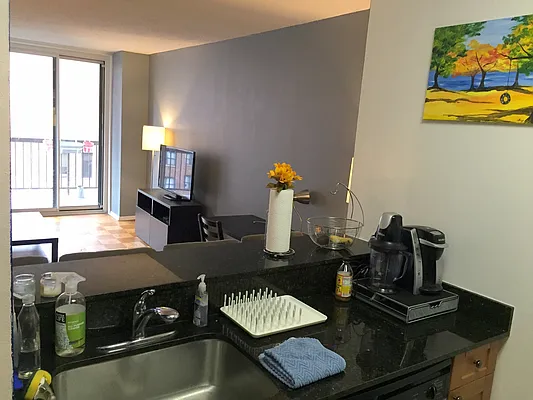 Rented by Manhattan Skyline | media 5