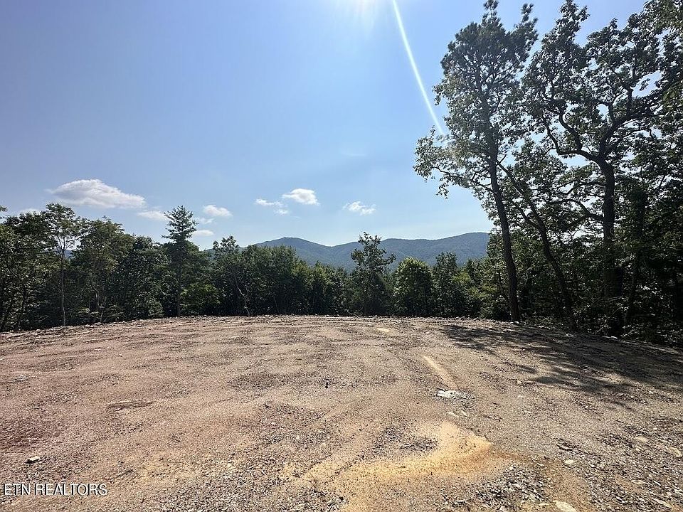 2nd image of 386 Harold Witt Rd