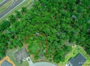 89 Bells Of Ireland Ct, Homosassa, FL 34446