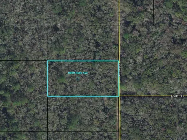 0000 RUTH Avenue, Hastings, FL 32145