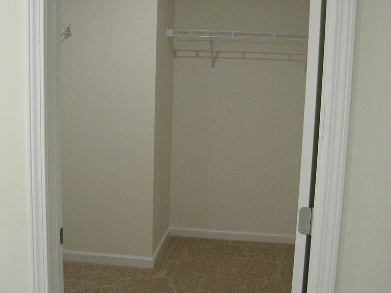 Primary bathroom on the main level - walk-in closet