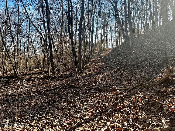 5th image of 8026 Mountain Ridge Dr