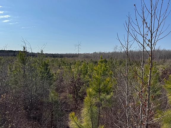 4th image of Thomas Sumter Hwy