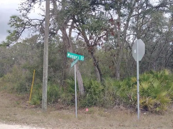 35161 MANUEL STREET LOT 8, WEBSTER, FL 33597