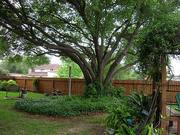 4th image of 11310 S Kolbe Dr