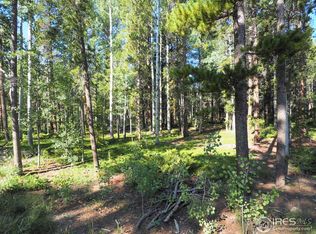 0 Severance Lodge Rd, Black Hawk, CO 80422