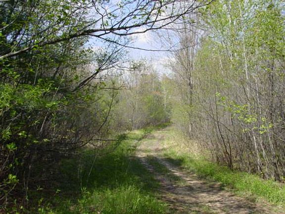 Trails circle the property and give easy access around it.