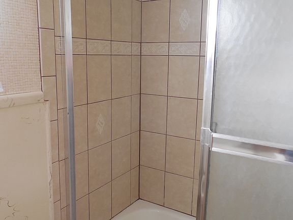 main bathroom shower/tub 