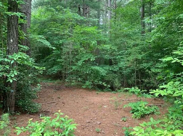 0 Rebecka Ln, Blairsville, GA 30512