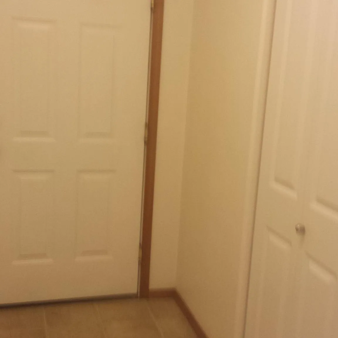 2 bed, 1100 sqft, $1,800 — Photo 2