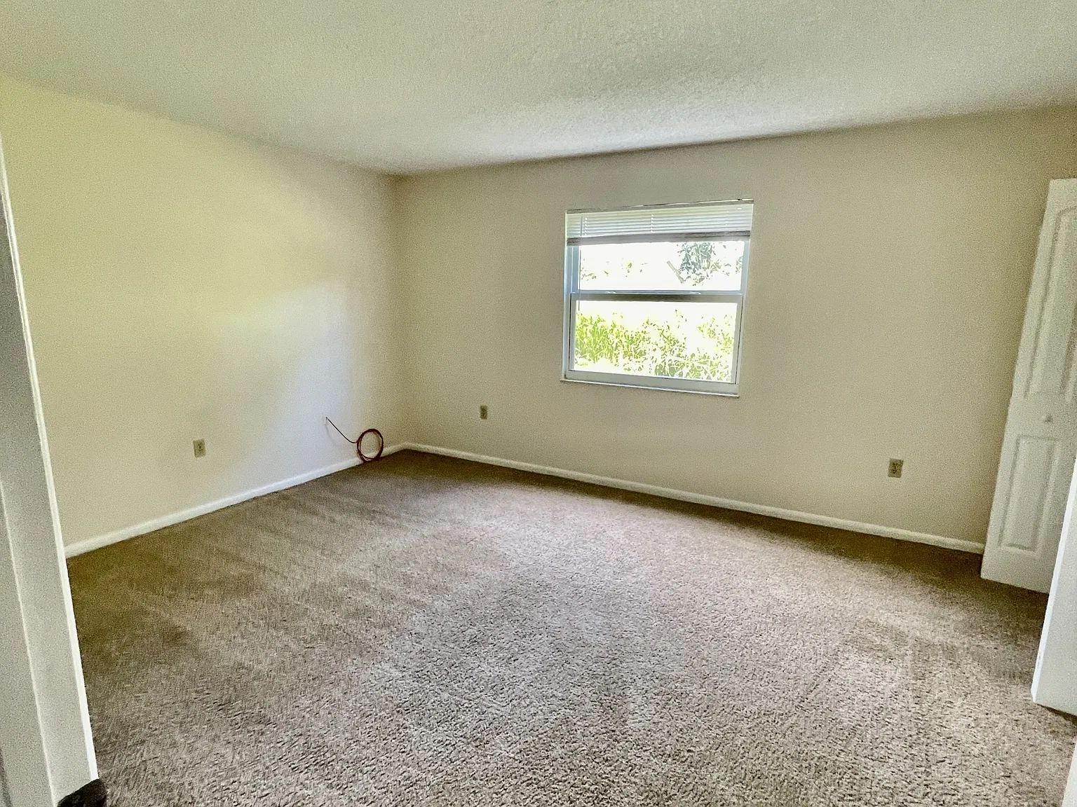 Palm City Apartments - 603 Apt 1 — Photo 4