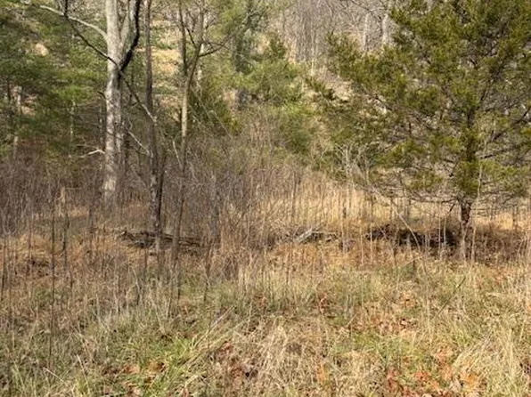 14 Wildlife Dr, Lost City, WV 26810