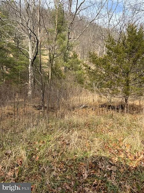 14 Wildlife Dr photo 1