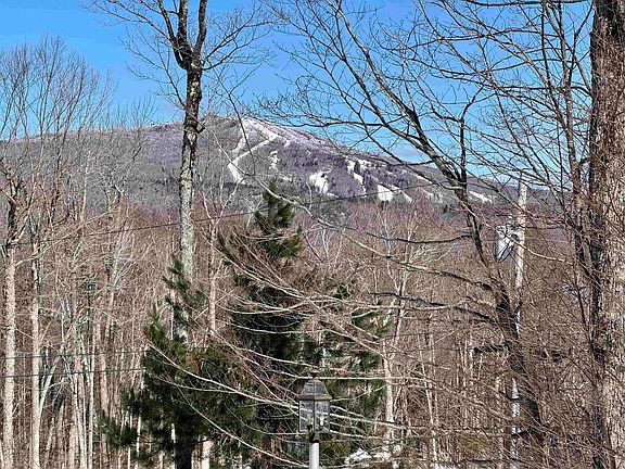 4th image of 520 Moose Hollow Road