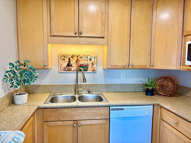 101 S Spruce St #232 — Photo 7