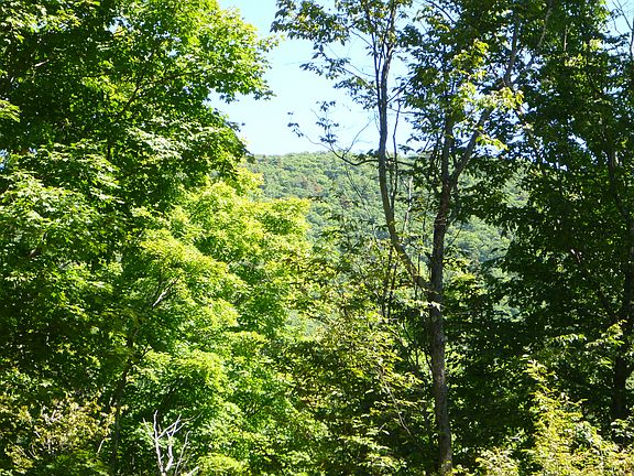 5th image of Saw Mill Hill Road