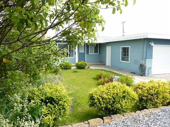 Front garden view