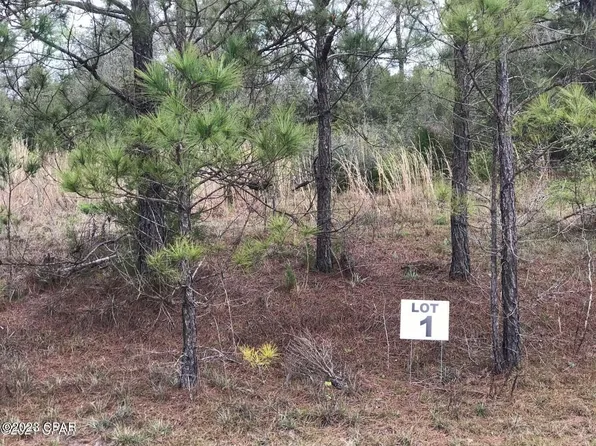LOT 1 Madison Ln, Chipley, FL 32428