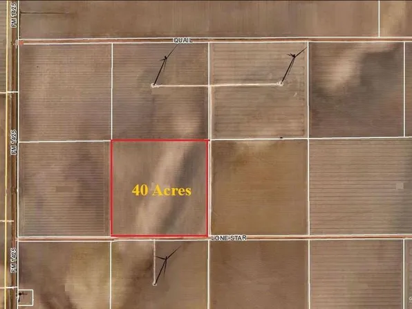 Fm 1425, Lyford, TX 78569