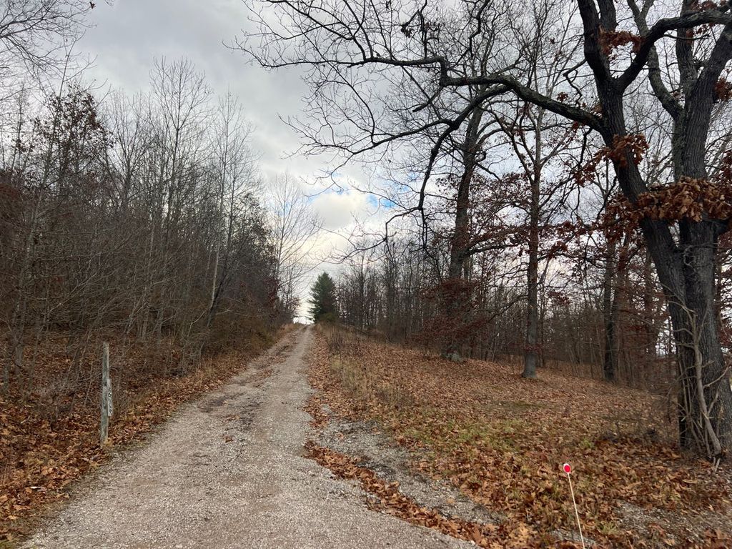 Real estate listing image
