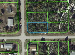 231 Flamingo St, Lake Placid, FL 33852