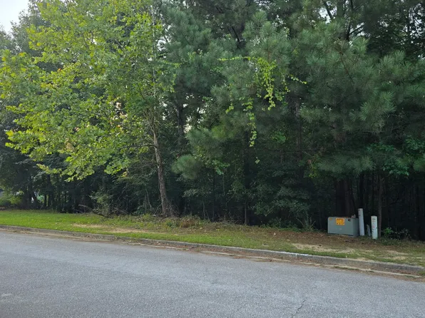 1628 Norris Landing Dr, Snellville, GA 30039