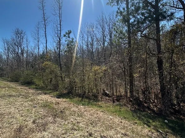 39 Jasmine Ln, Ramer, AL 36069