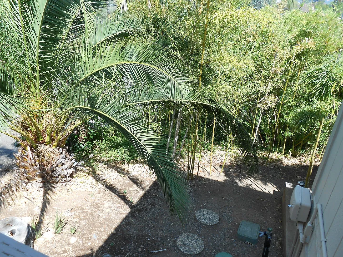 Furnished Studio - Available For Move In! — Photo 4