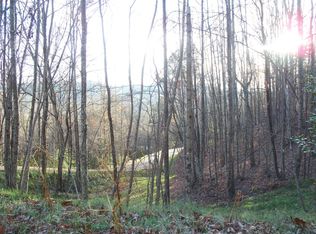 46 Wildwood Trl, Hayesville, NC 28904