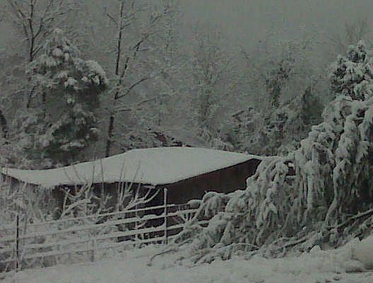 This was our absolutely beautiful snowy view this winter.
